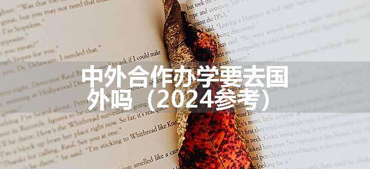 中外合作办学要去国外吗（2024参考）