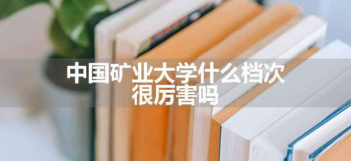 中国矿业大学什么档次 很厉害吗