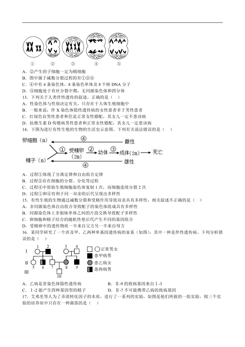 青海省西宁市第十四中学2023-2024学年高一下学期6月月考生物试卷（有答案）