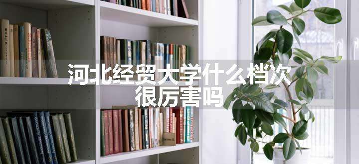 河北经贸大学什么档次 很厉害吗