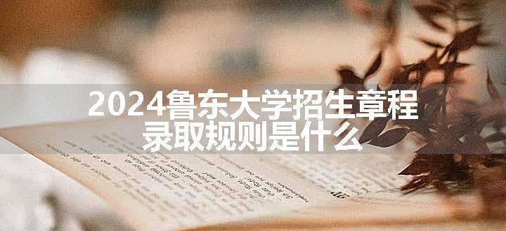 2024鲁东大学招生章程 录取规则是什么