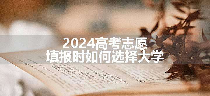 2024高考志愿填报时如何选择大学