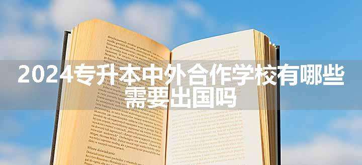 2024专升本中外合作学校有哪些 需要出国吗