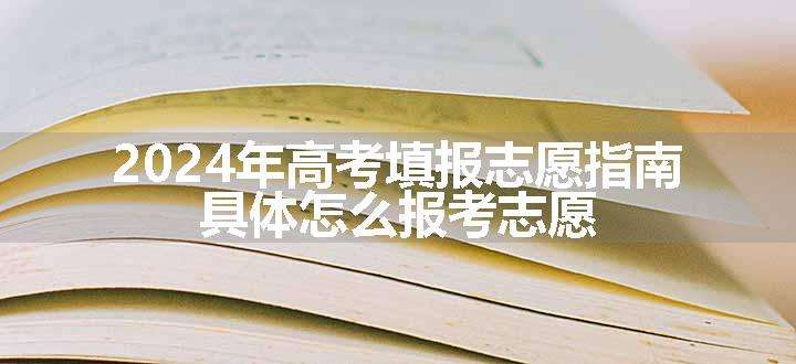 2024年高考填报志愿指南 具体怎么报考志愿