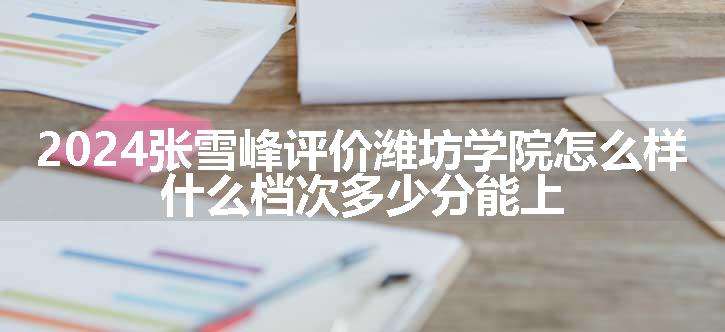 2024张雪峰评价潍坊学院怎么样 什么档次多少分能上