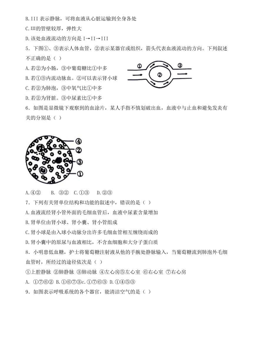 辽宁省沈阳市虹桥初级中学2023-2024学年七年级下学期6月考生物试题（含答案）