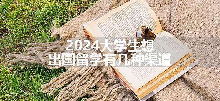 2024大学生想出国留学有几种渠道