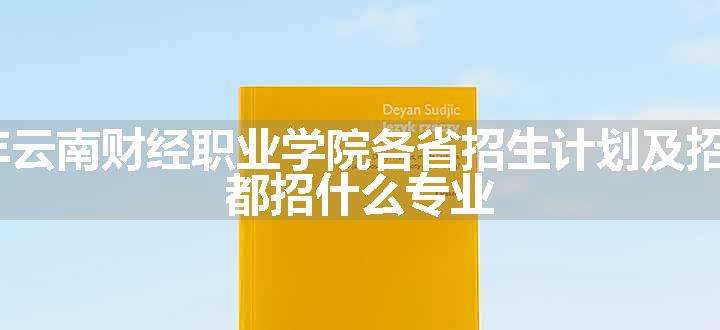 2024年云南财经职业学院各省招生计划及招生人数 都招什么专业