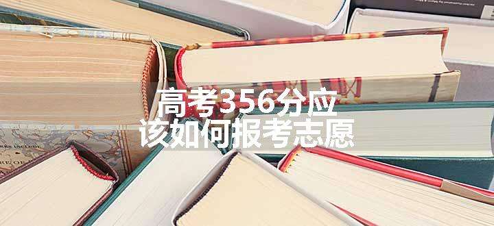 高考356分应该如何报考志愿