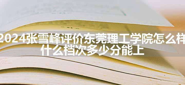 2024张雪峰评价东莞理工学院怎么样 什么档次多少分能上