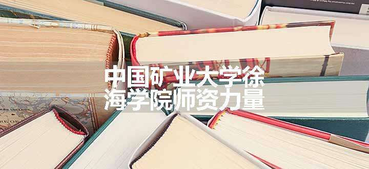 中国矿业大学徐海学院师资力量