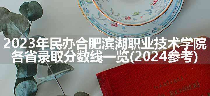 2023年民办合肥滨湖职业技术学院各省录取分数线一览(2024参考)