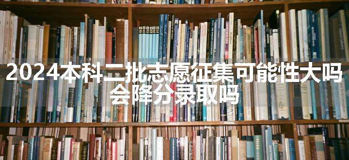 2024本科二批志愿征集可能性大吗 会降分录取吗