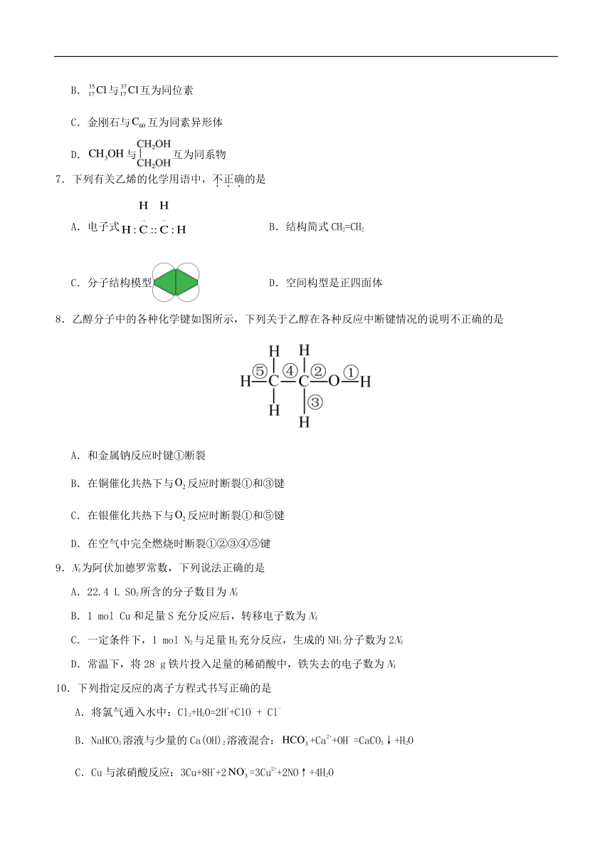 四川省眉山市东坡区2023-2024学年高一下学期期中考试化学试卷（含答案）