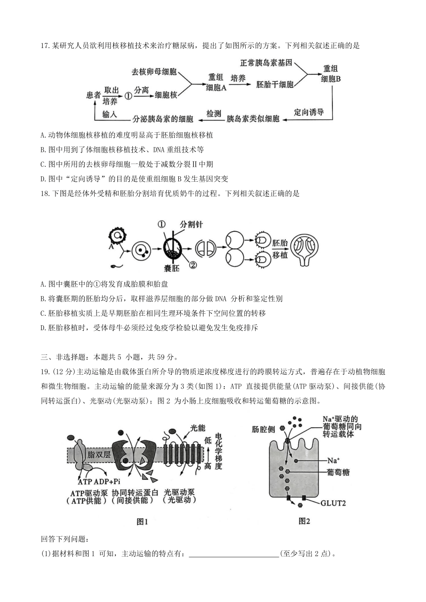 河南省百师联盟联考2023-2024学年高二下学期6月月考生物试题（有解析）