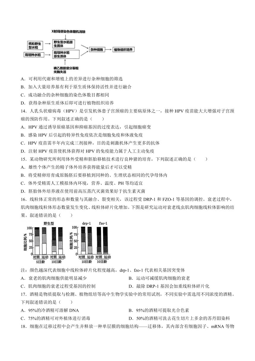 浙江省绍兴市2023-2024学年高二下学期6月期末生物试题(无答案)