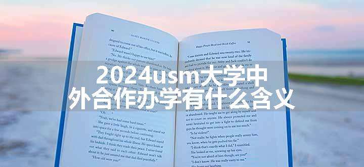 2024usm大学中外合作办学有什么含义