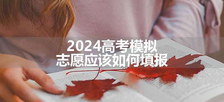 2024高考模拟志愿应该如何填报