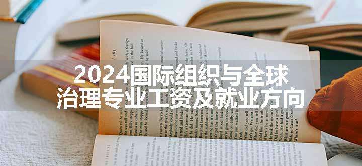 2024国际组织与全球治理专业工资及就业方向