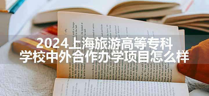 2024上海旅游高等专科学校中外合作办学项目怎么样