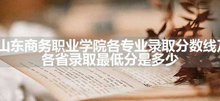 2024山东商务职业学院各专业录取分数线及位次 各省录取最低分是多少