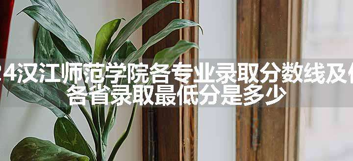 2024汉江师范学院各专业录取分数线及位次 各省录取最低分是多少