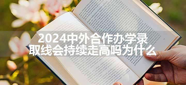 中外合作办学录取线会持续走高吗