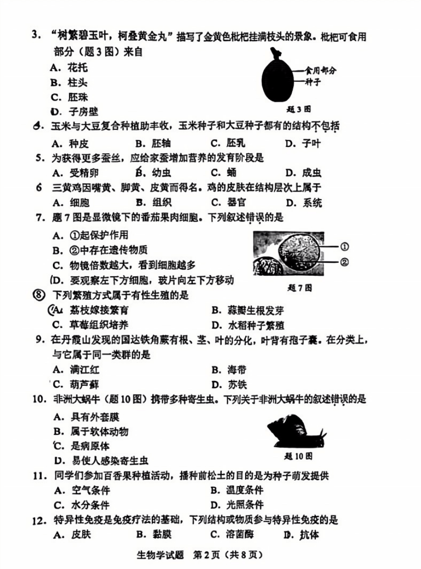 2024年广东省初中学业水平考试真题试卷 （pdf版无答案）