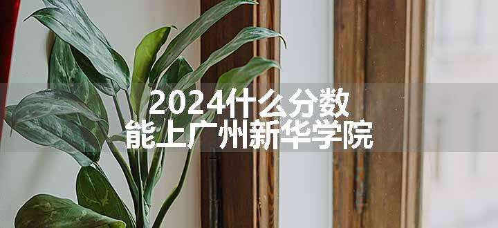 2024什么分数能上广州新华学院