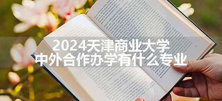 2024天津商业大学中外合作办学有什么专业