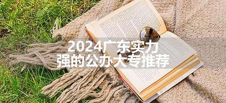 2024广东实力强的公办大专推荐