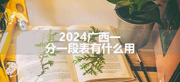 2024广西一分一段表有什么用