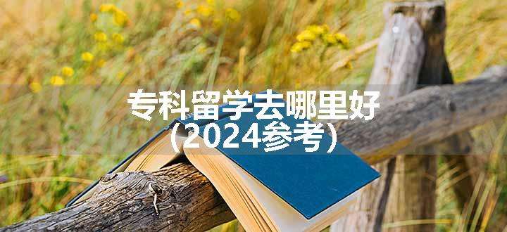 专科留学去哪里好（2024参考）