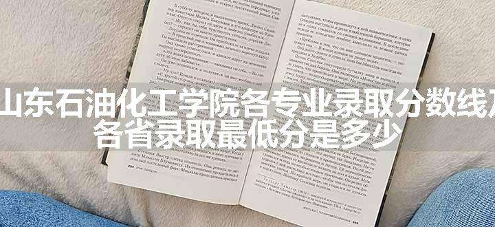 2024山东石油化工学院各专业录取分数线及位次 各省录取最低分是多少