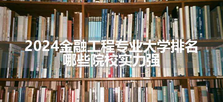 2024金融工程专业大学排名