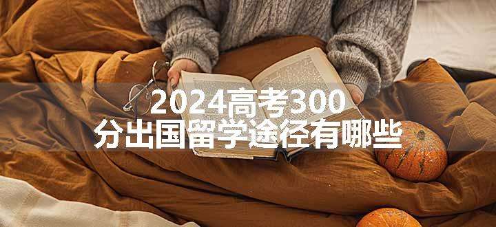 2024高考300分出国留学途径有哪些