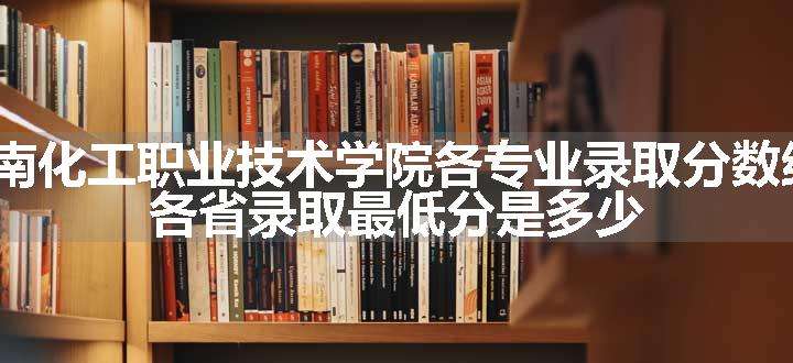 2024湖南化工职业技术学院各专业录取分数线及位次 各省录取最低分是多少