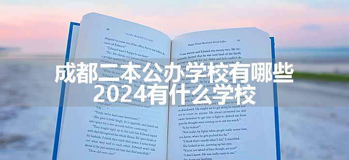 成都二本公办学校有哪些 2024有什么学校