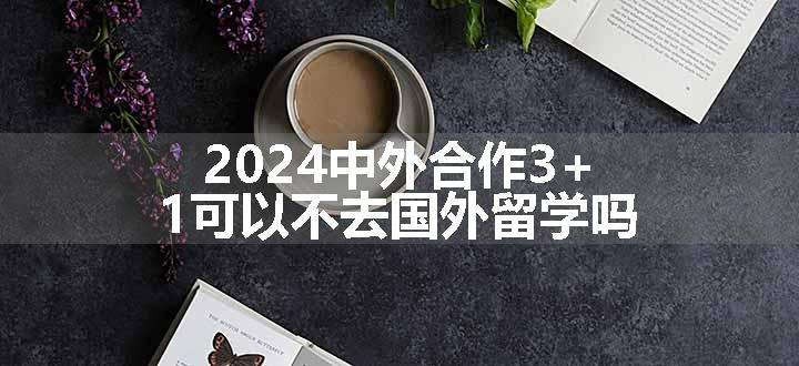 2024中外合作3+1可以不去国外留学吗