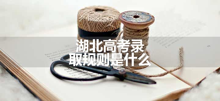 湖北高考录取规则是什么