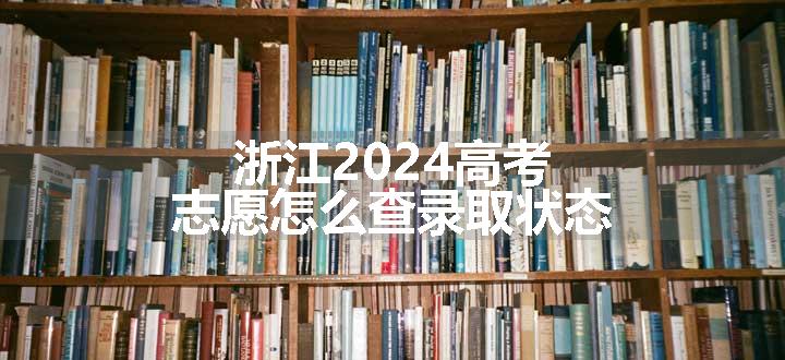 浙江2024高考志愿怎么查录取状态