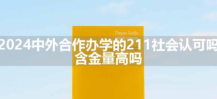 中外合作办学的211社会认可吗