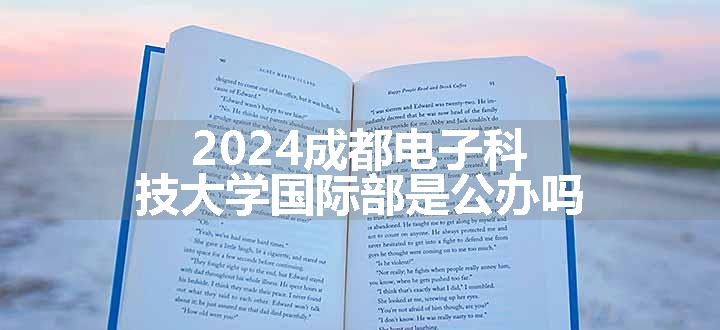 2024成都电子科技大学国际部是公办吗