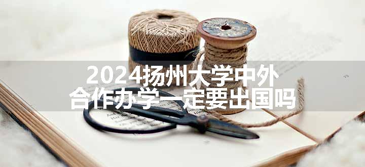 2024扬州大学中外合作办学一定要出国吗