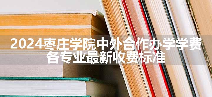 2024枣庄学院中外合作办学学费 各专业最新收费标准