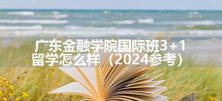 广东金融学院国际班3+1留学怎么样（2024参考）