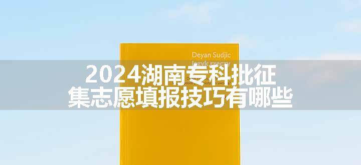 2024湖南专科批征集志愿填报技巧有哪些