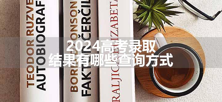 2024高考录取结果有哪些查询方式