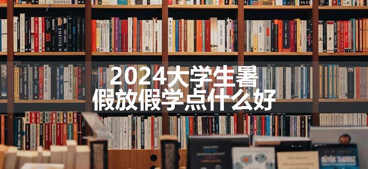 2024大学生暑假放假学点什么好