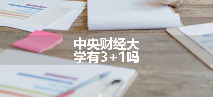 中央财经大学有3+1吗